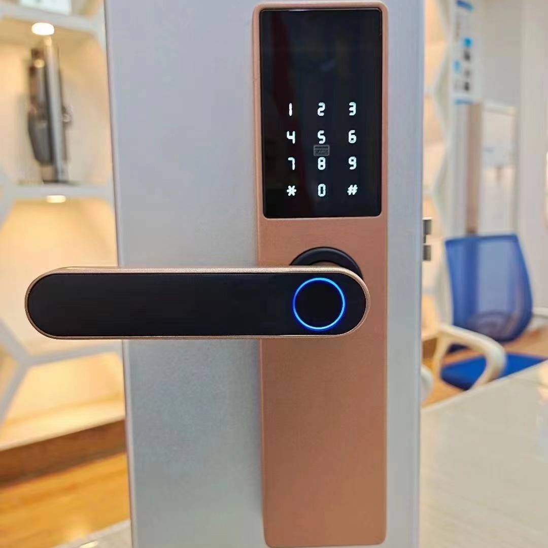 Fingerprint Door Lock - Graffiti WIFI Pass