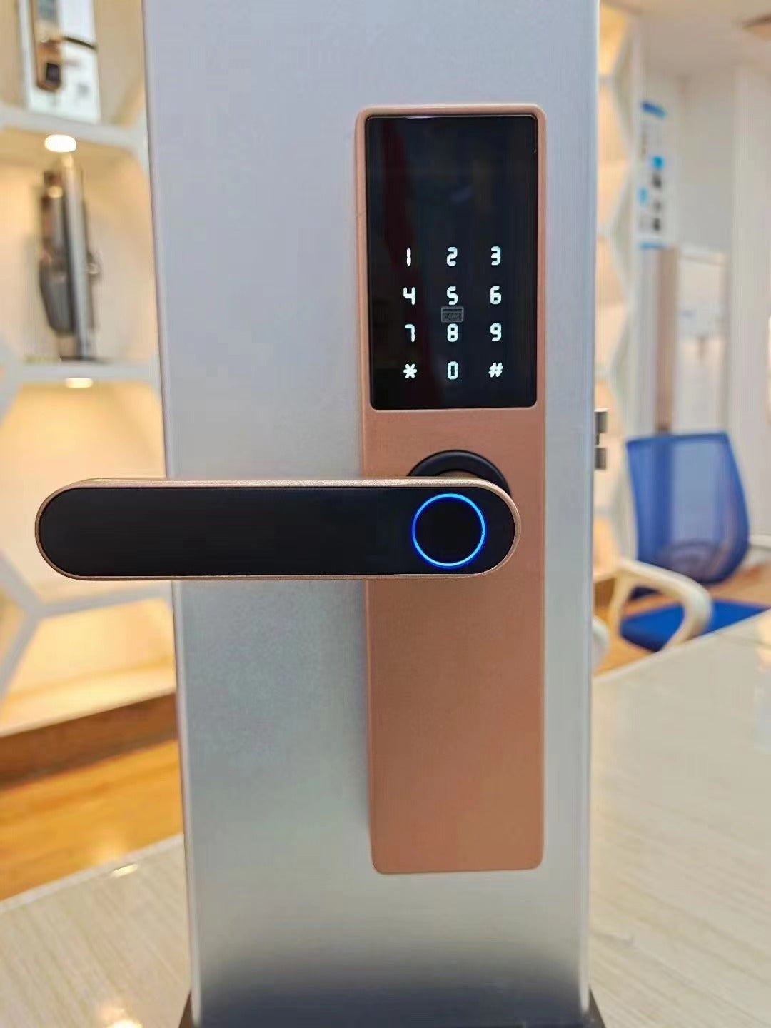 Fingerprint Door Lock - Graffiti WIFI Pass